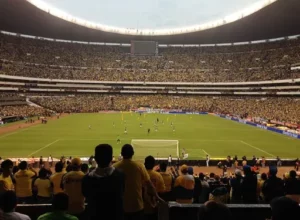 托尼,布伦特福德,成切尔西,世界杯下注,2026世界杯,投注策略,赔率,竞猜网站