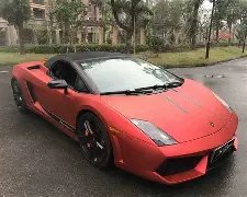 张本智和与,早田希娜印,度赛,世界杯下注,2026世界杯,投注策略,赔率,竞猜网站